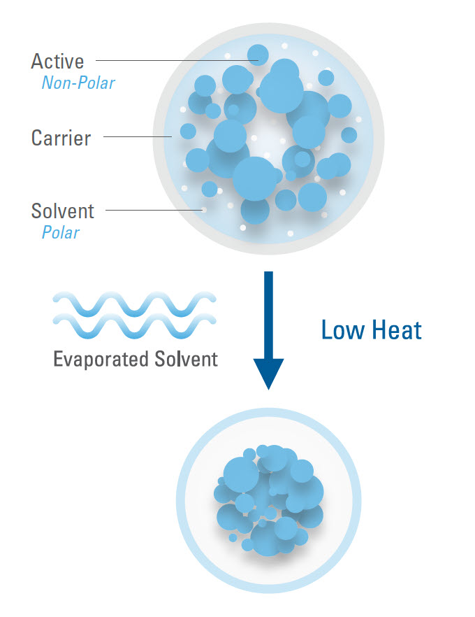 case study image