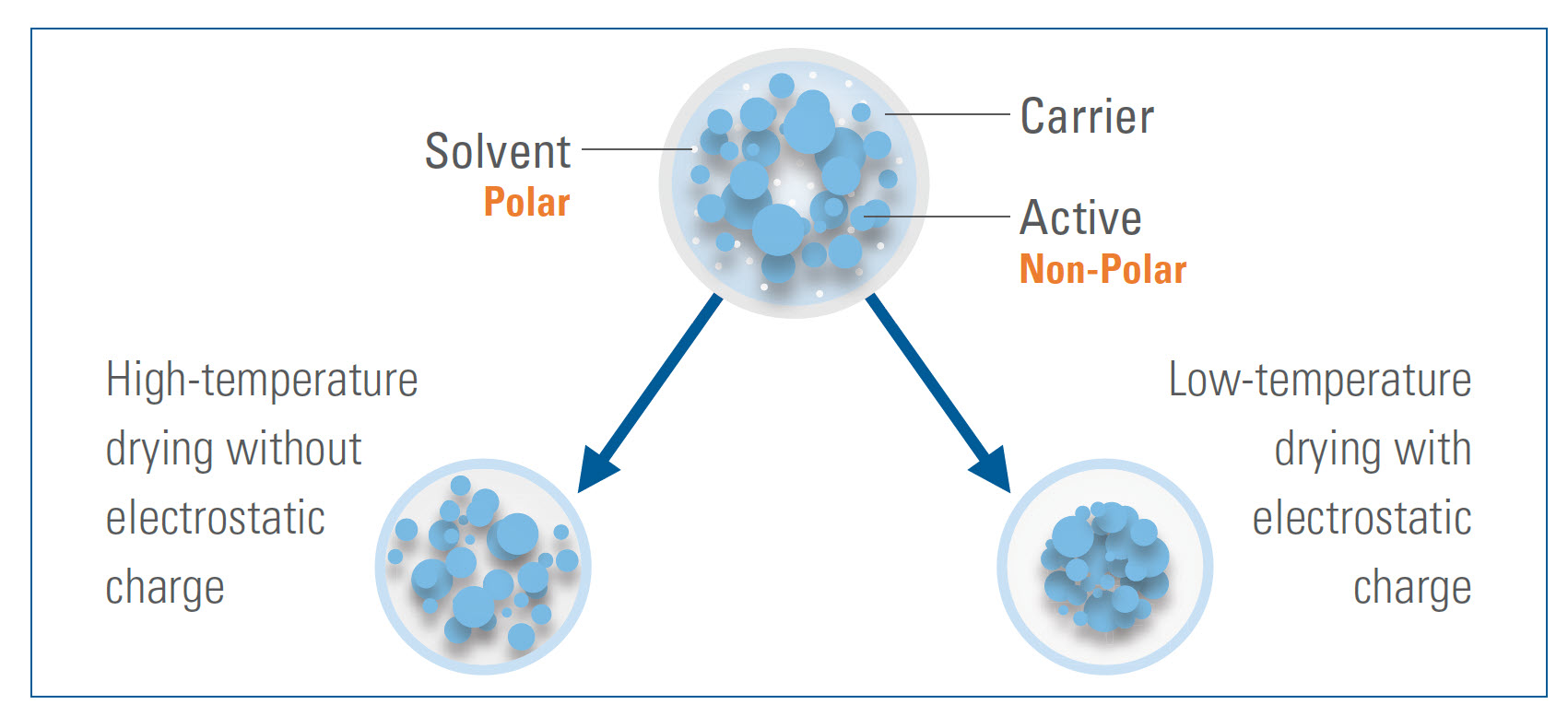 case study image